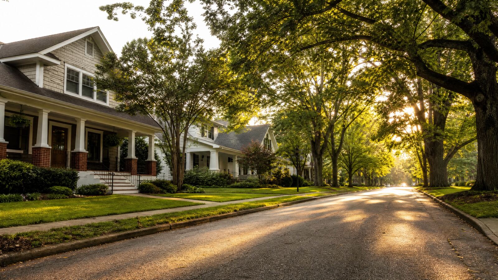 Tree-lined neighborhood street in the Hickory, North Carolina area