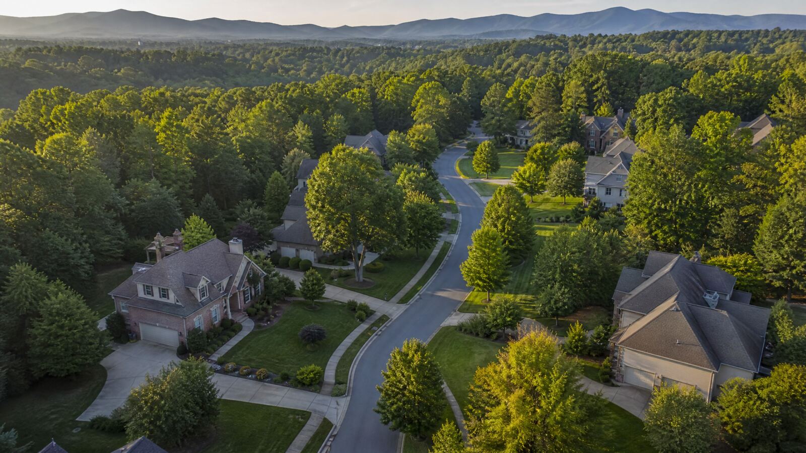 Aerial view of a North Carolina neighborhood surrounded by trees