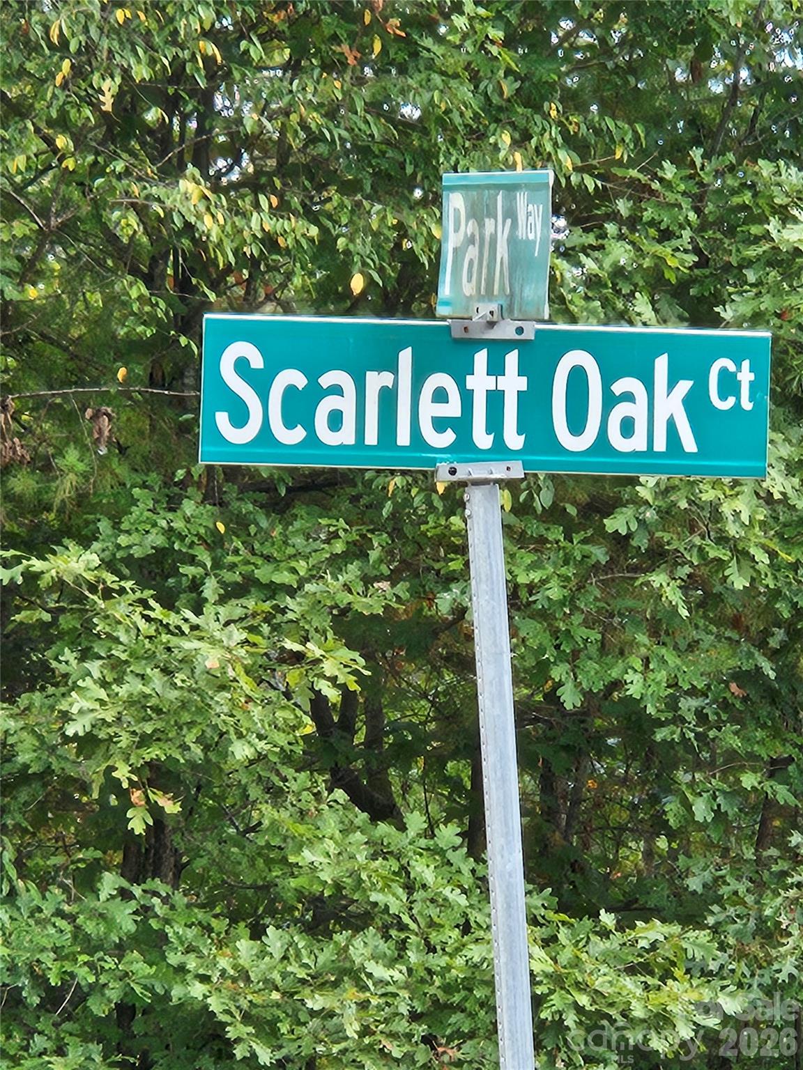 412 Scarlett Oaks Court