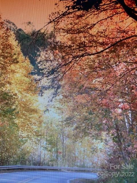 00 Trillium Lane