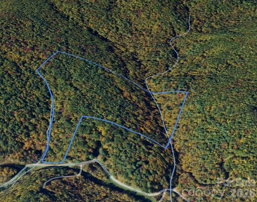 0 Russell Gap Road property