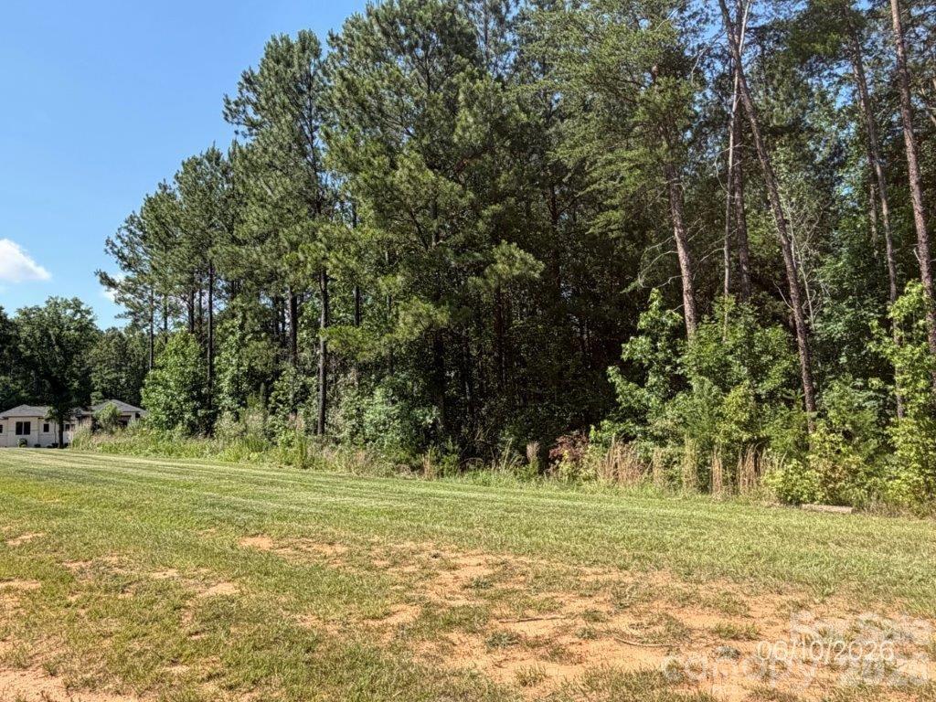 315 Grassy Ridge Court