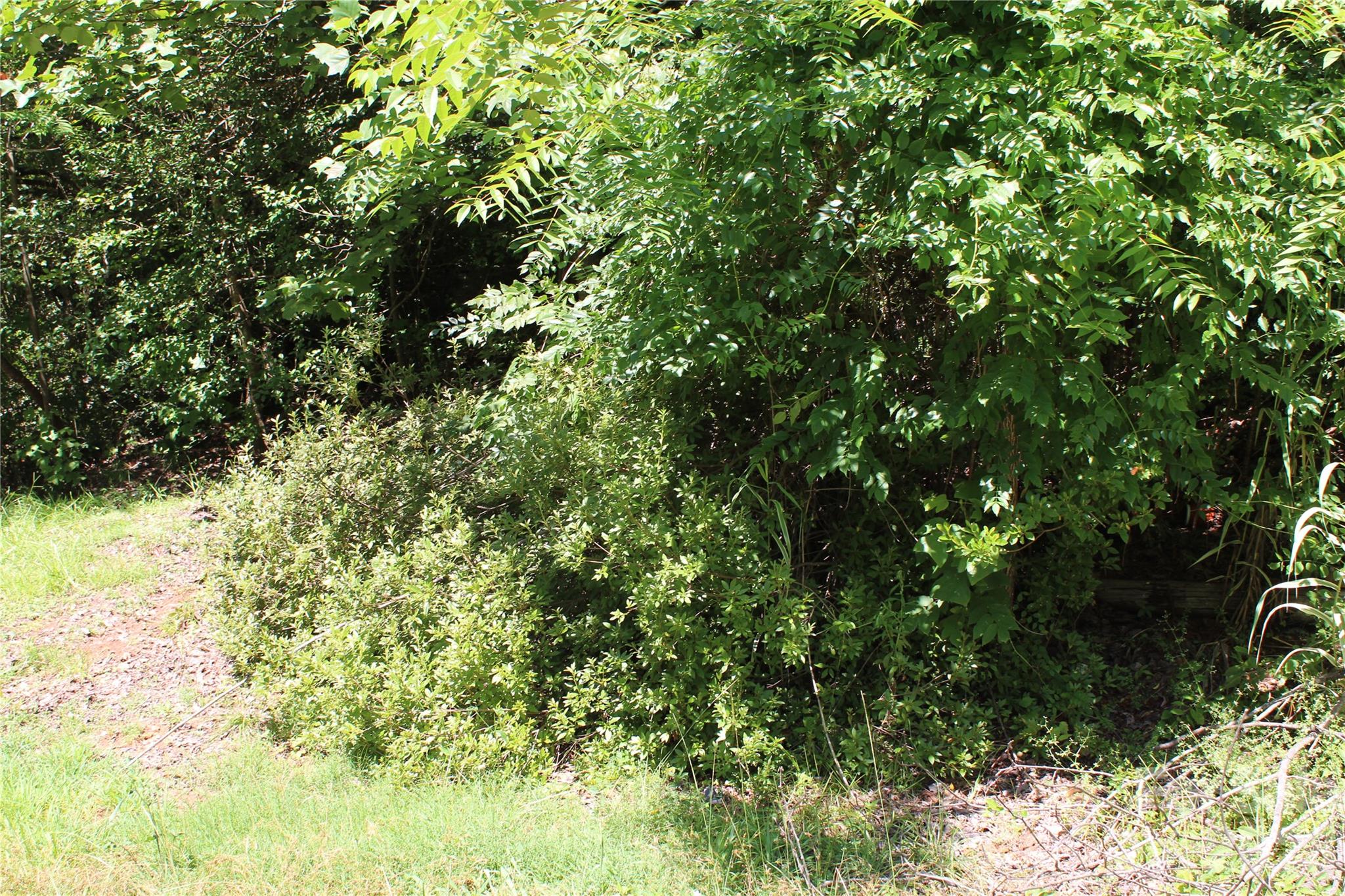 3041 Bills Creek Road