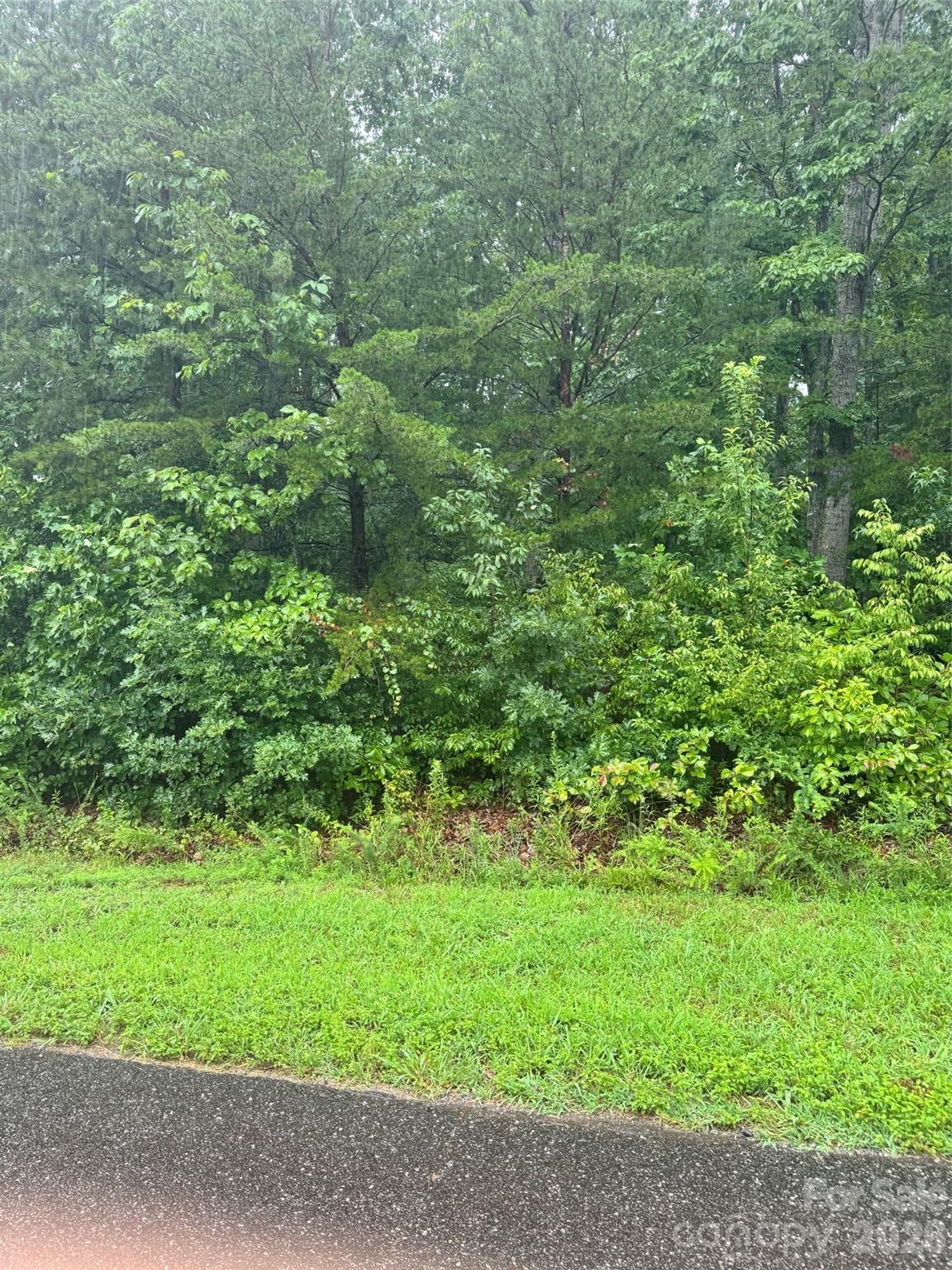 0 Lhasa Apso Lane property