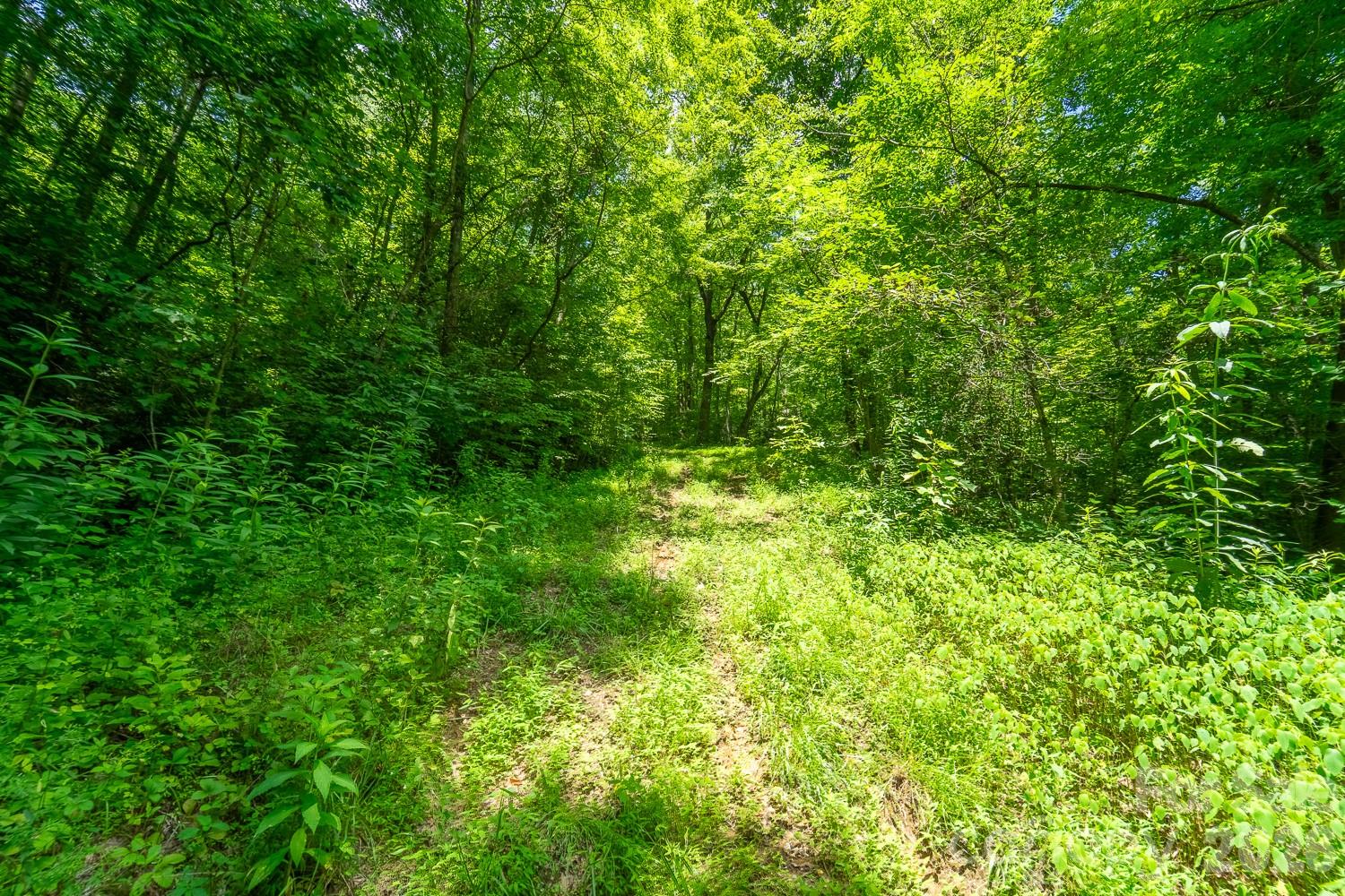 TBD Indian Flats Drive