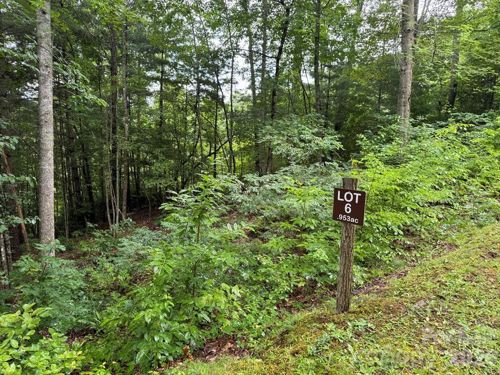 Lot 6 Garnet Road