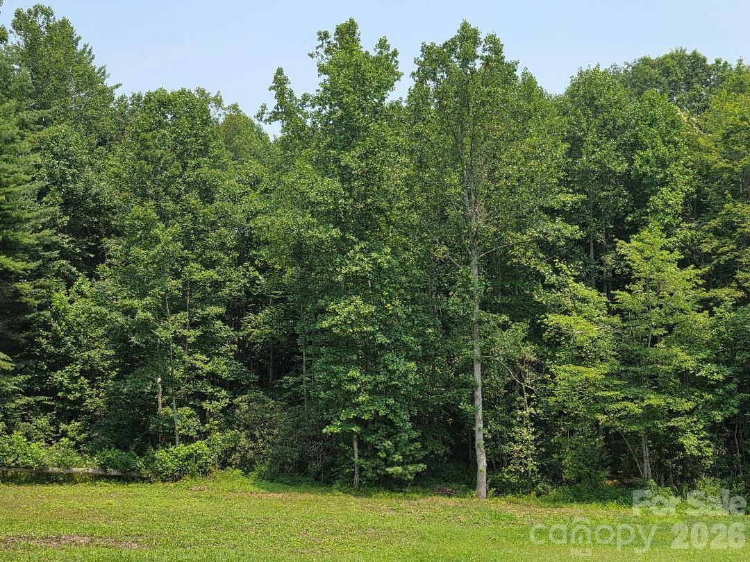 Lot 4 Appalachian Retreat None
