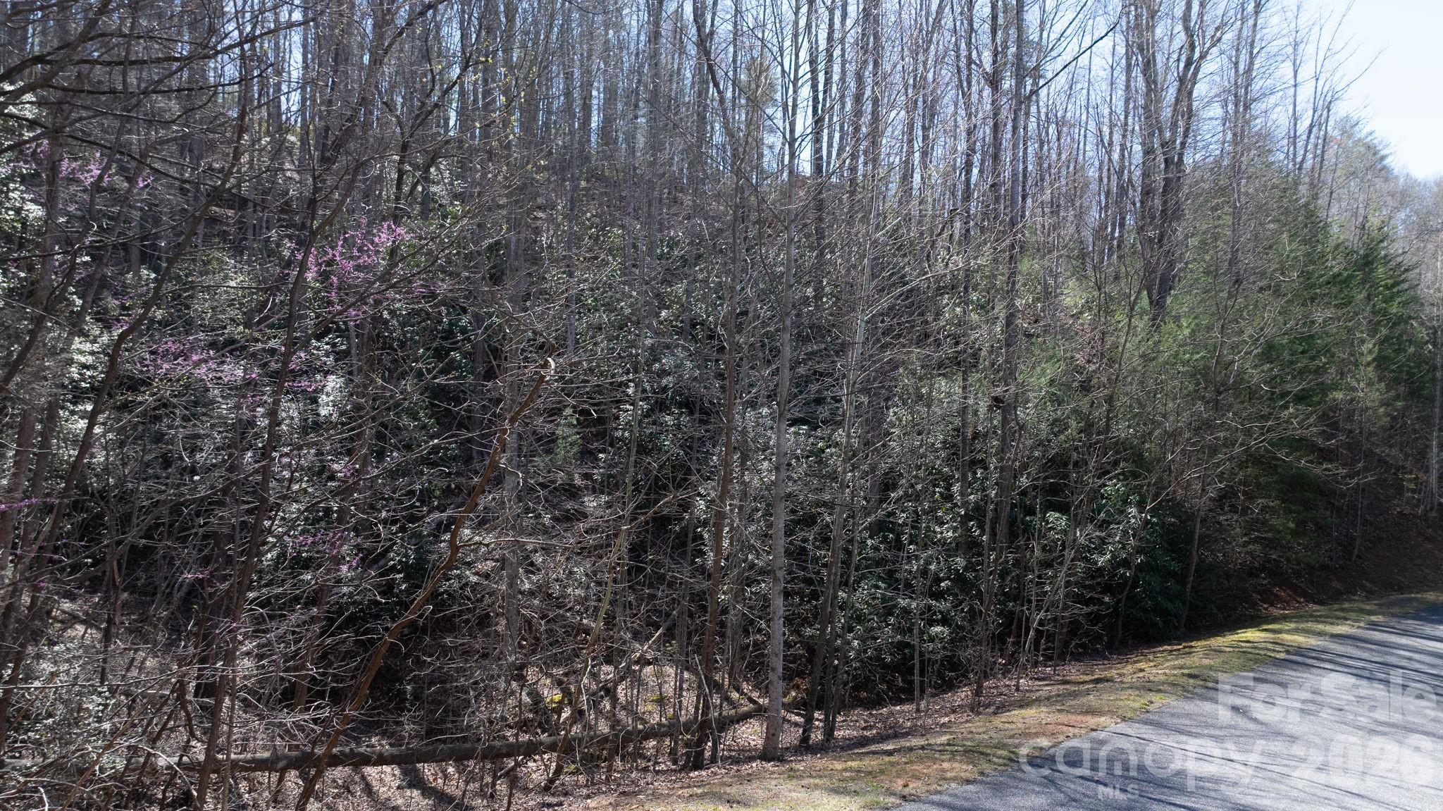 1342 High Trail Drive